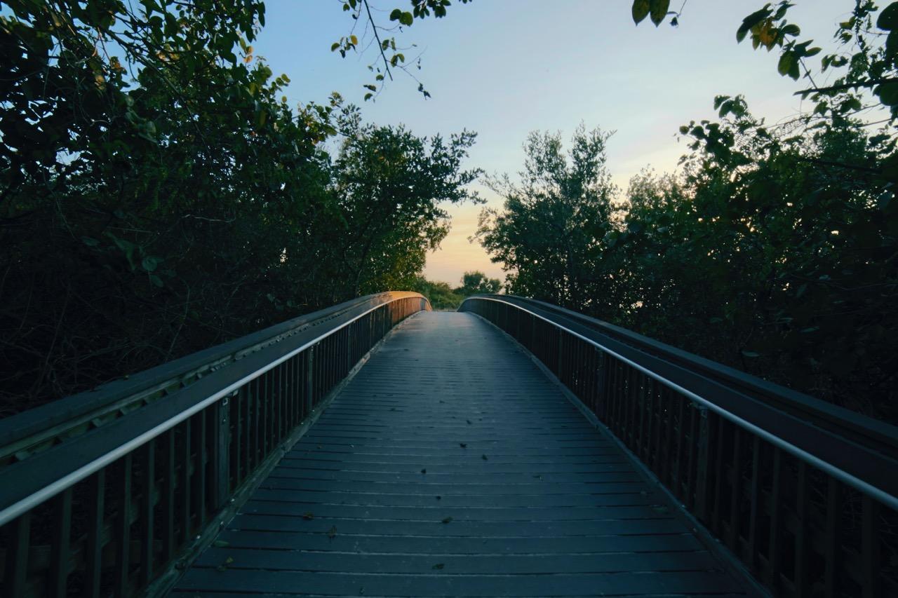 Finding Balance: Young Families Edition