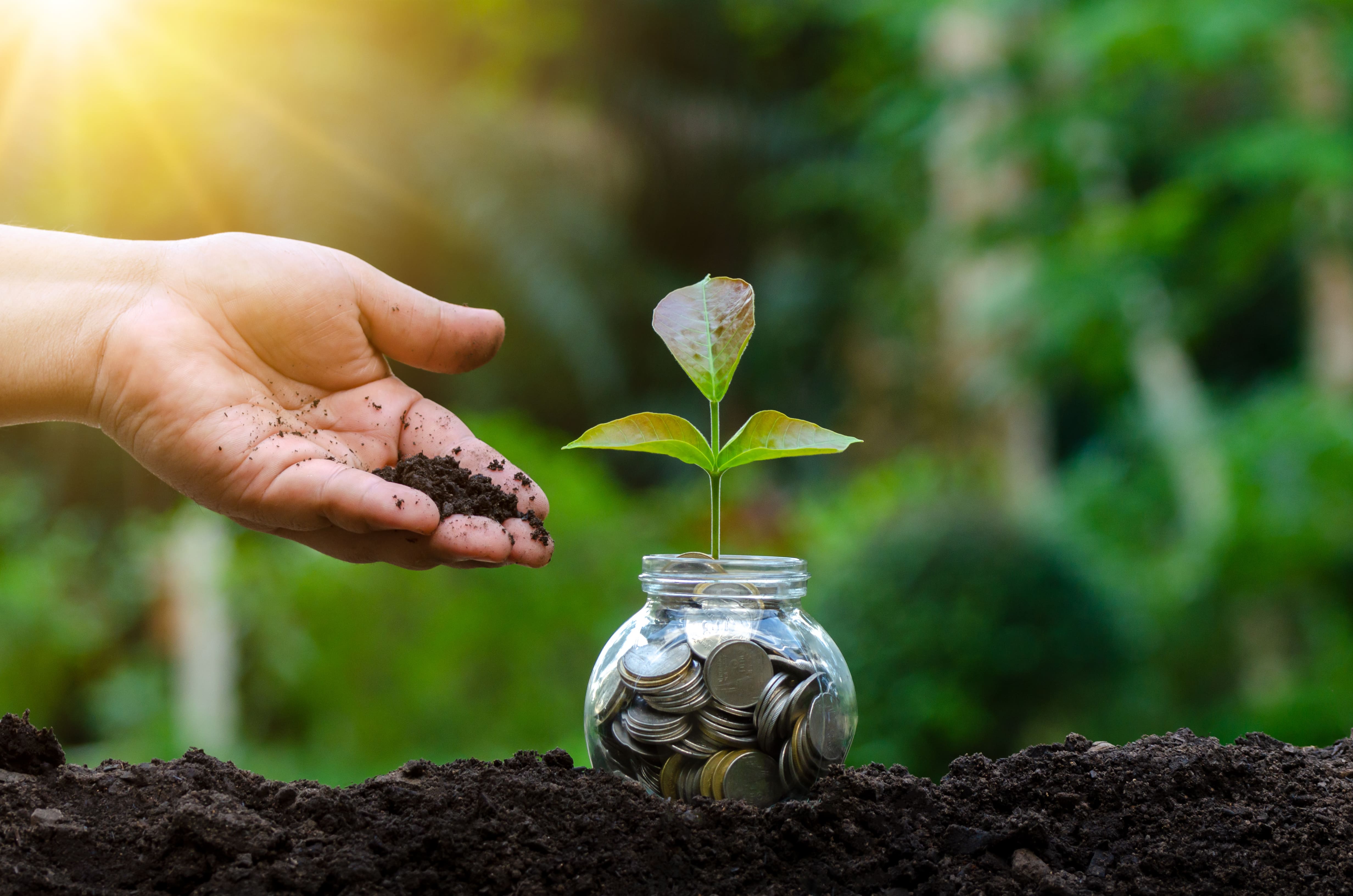 Investing for Good: Balancing Returns with Meaningful Social Impact
