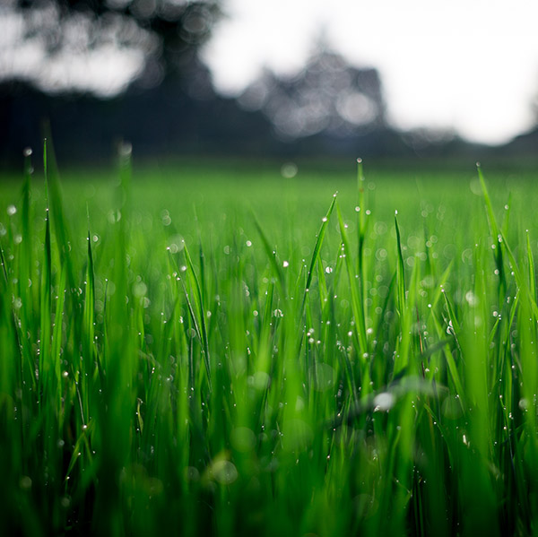 Living and Giving With the Whole Family