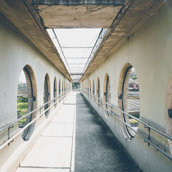 Paying High Taxes and Stewardship